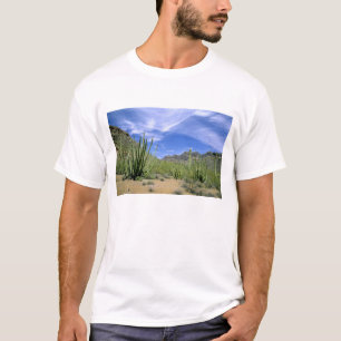 T-shirt Cactus du désert à Organ Pipe National Monument,