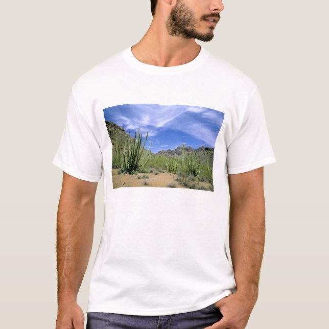 T-shirt Cactus du désert au Monument national de la Tuyère (Devant)