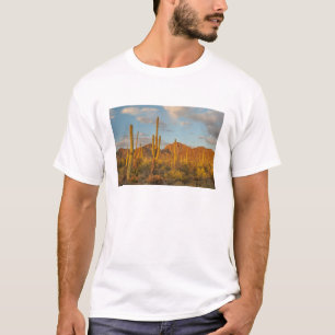 T-shirt Cactus du Saguaro au coucher du soleil, Arizona