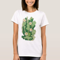 Cactus en floraison Cactus Succulent Cactus Vert K