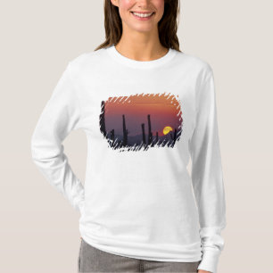 T-shirt Cactus Saguaro Carnegiea gigantea), coucher de sol