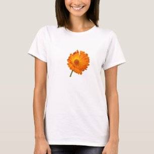 T-shirt - Calendula stem