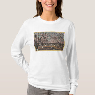 T-shirt CaliforniaBlossom fleurissant sur des arbres