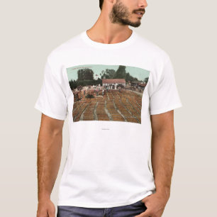 T-shirt CaliforniaView des pêches séchant au soleil