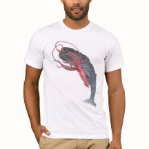 Calmar et baleine