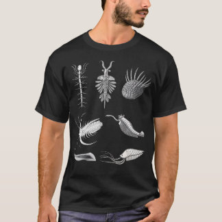 T-shirt Cambrian Creatures Fossil Paleoart Evolution Scien