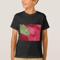 caméléon