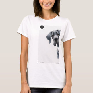 T-shirt camiseta Feminina gola canoa simples 