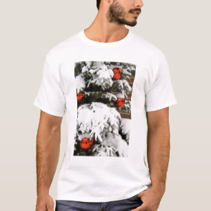 T-shirt Canada, Alberta, Jasper, Jasper NP. Fairmont 2