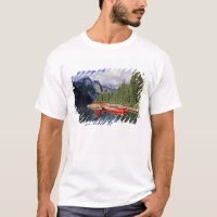 Canada, Alberta, lac Moraine. La surface vitreuse