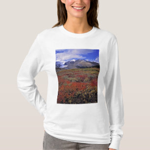 T-shirt Canada, Alberta, Parc national de Banff. Les airel