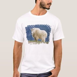T-shirt Canada, Alberta, Parc national de Jasper,