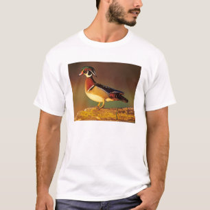 T-shirt Canard branchu mâle, Illinois