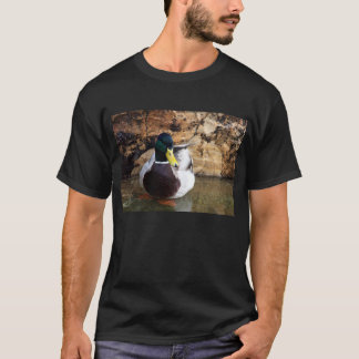 T-shirt Canard colvert mâle