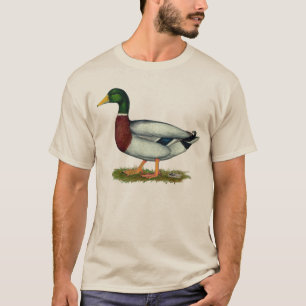 T-shirt Canard Drake de Mallard