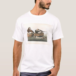 T-shirt Canard Long-Coupé la queue