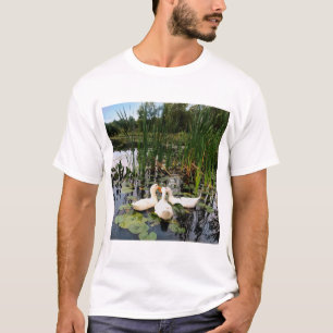 T-shirt Canards blancs, caleçons, cattails, lac