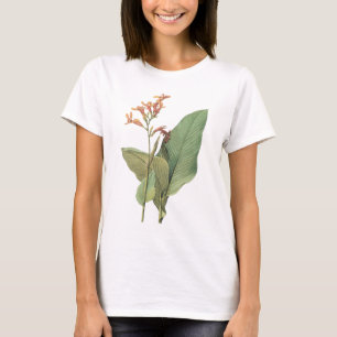 T-shirt canna(Canna gigantea) par Redouté