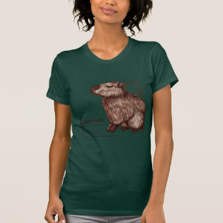 T-shirt capybara - chocolate