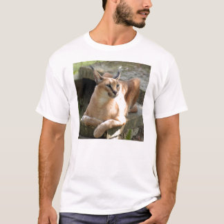 T-shirt CaracalBCR055