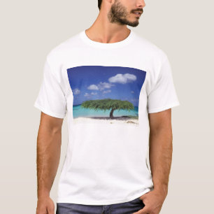 T-shirt Caraïbes, Aruba. Plage Eagle