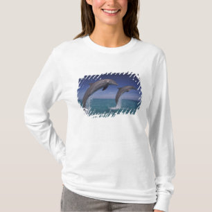 T-shirt Caraïbes, dauphins Tursiops