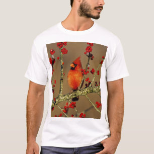 T-shirt Cardinal rouge nord mâle perché, IL
