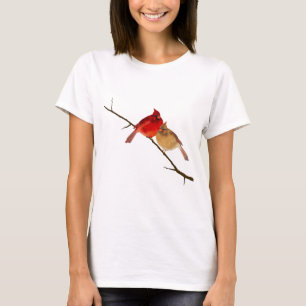 T-shirt cardinaux sur une branche