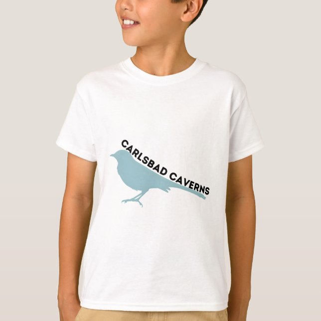 T-shirt Carlsbad Caverns mockingbird park logo (Devant)