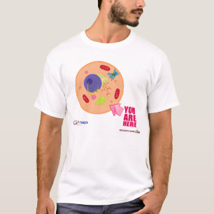 T-shirt Cartes de Globy