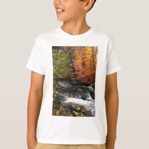 T-shirt Cascade d'automne