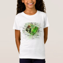 Cellule de plante