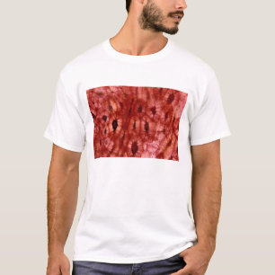 T-shirt Cellules de Sclerenchyma d'un puits de cerise