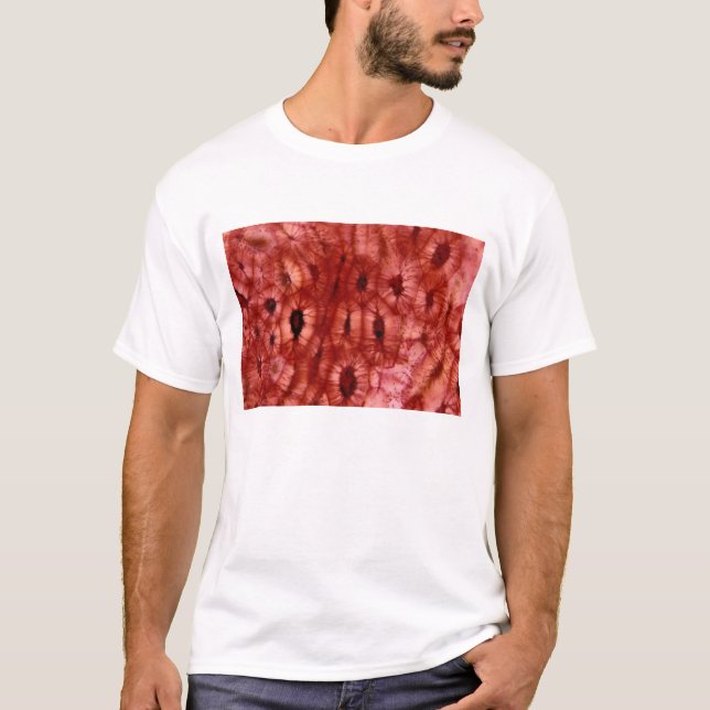 T-shirt Cellules de Sclerenchyma d'un puits de cerise (Devant)