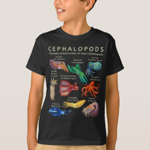T-shirt Céphalopodes poulpes calamars