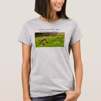 T-shirt Cercle de vie Cambria