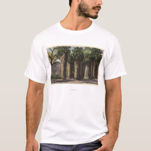 T-shirt Cercle des paumes, canyon d'Andreas
