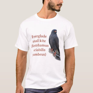 T-shirt Cerf-volant de l'Everglade (mars 2024)