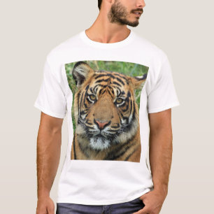 T-shirt Certainement ! Pour une boutique en ligne vendant 