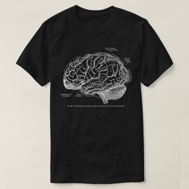 T-shirt Cerveau d'anatomie humaine vintage (Design devant)