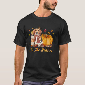 T-shirt C'Est La Saison Citrouille Beagle Chien Automne Sa