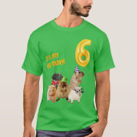 C'est mon Anniversaire 6ème mignon Hamster