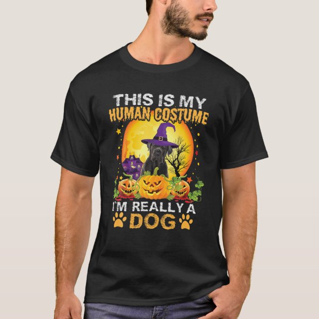 T-shirt C'est mon costume humain Je suis vraiment une cann (Devant)