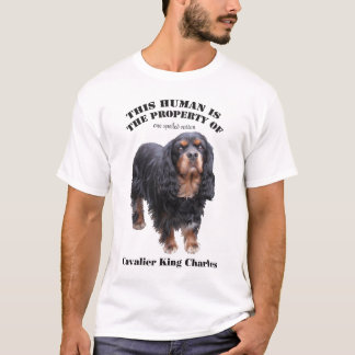 T-shirt Cet humain est la propriété de : cav noir et