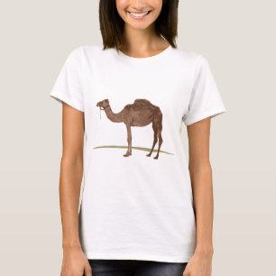 T-shirt Chameau