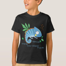 Chameleon - Lizard coloré - Educer