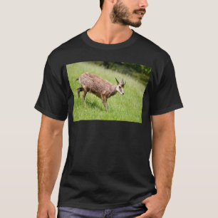 T-shirt Chamois marchant sur une carte postale d'herbe