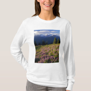 T-shirt Champ de lupin, mont Olympe et nuages à