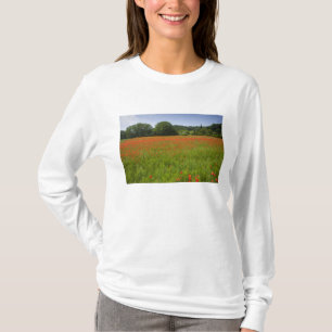 T-shirt Champ de pavot, Chiusi, Italie