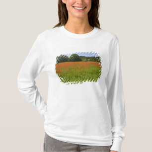 T-shirt Champ de pavot, Chiusi, Italie